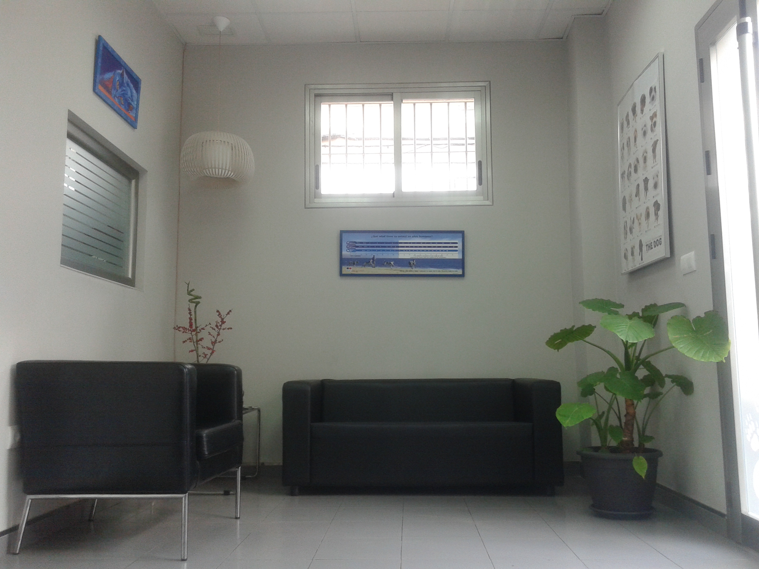 Interior of the clinic (3)